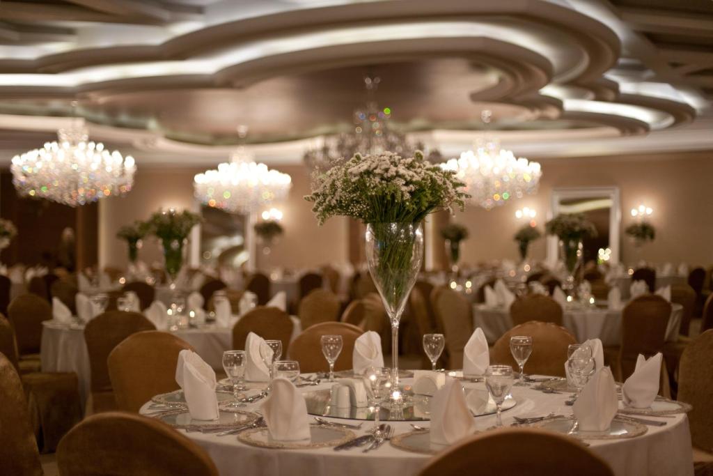 Delphin Imperial Lara (3).jpg