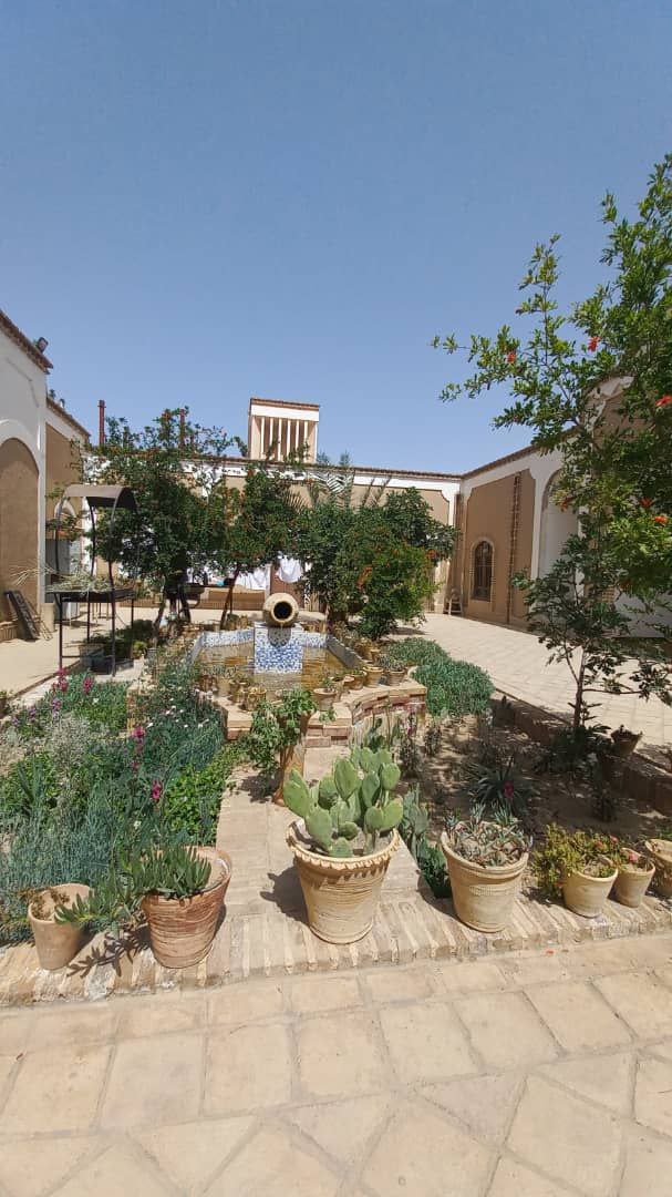 گل بی بی