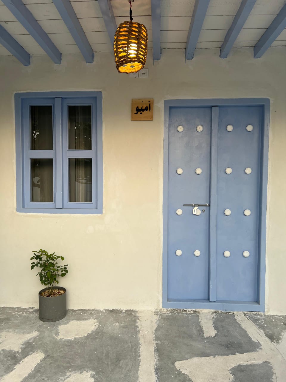 گل ابریشم