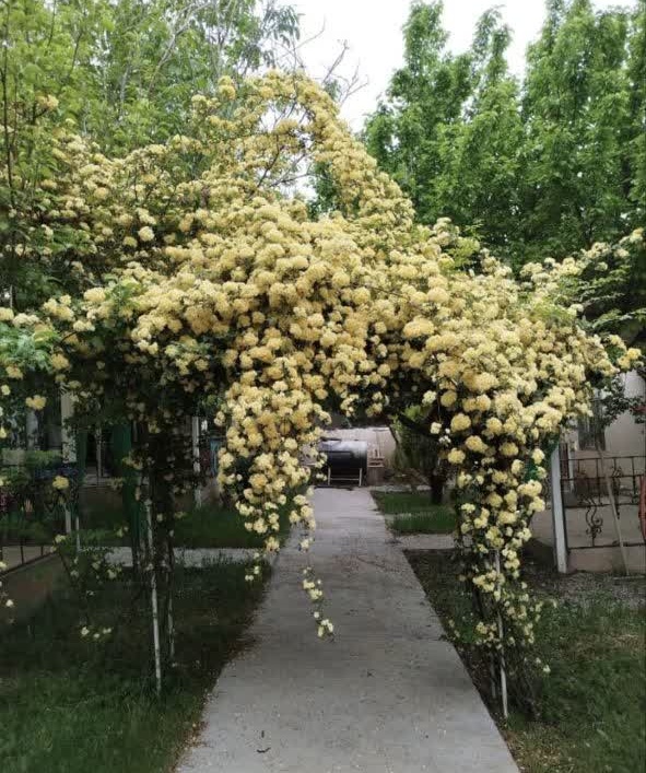 صورة الغرفة: غرفة رباعية